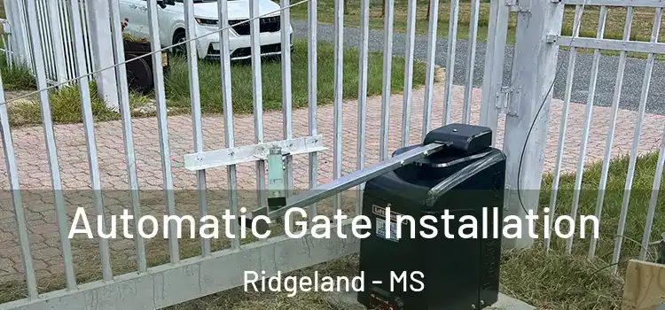 Automatic Gate Installation Ridgeland - MS