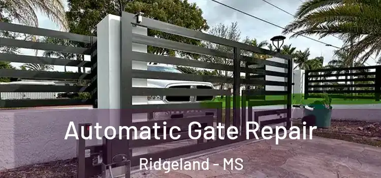 Automatic Gate Repair Ridgeland - MS