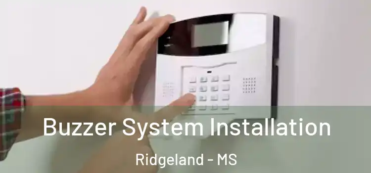 Buzzer System Installation Ridgeland - MS