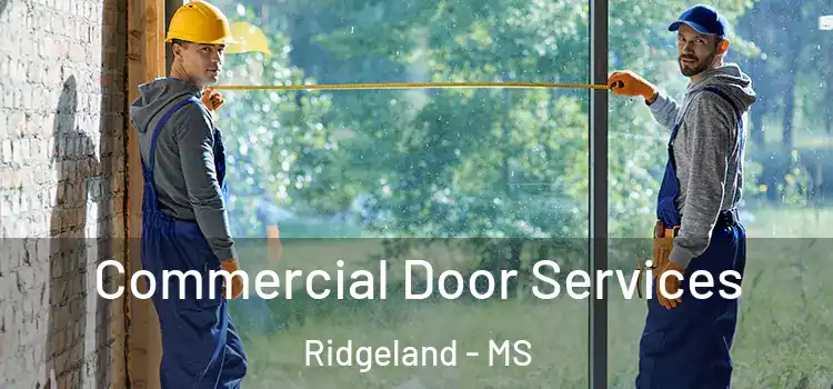 Commercial Door Services Ridgeland - MS