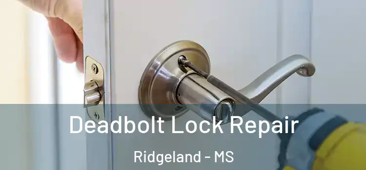 Deadbolt Lock Repair Ridgeland - MS