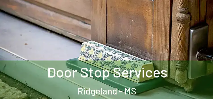Door Stop Services Ridgeland - MS