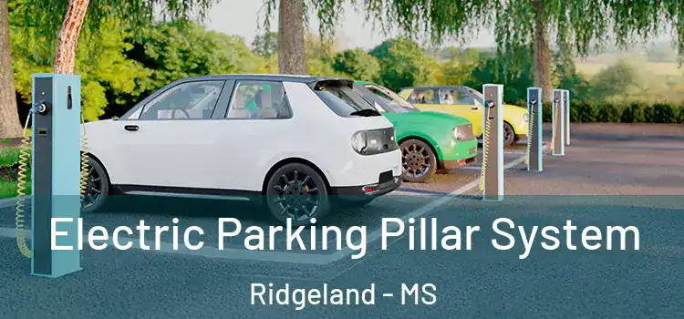 Electric Parking Pillar System Ridgeland - MS