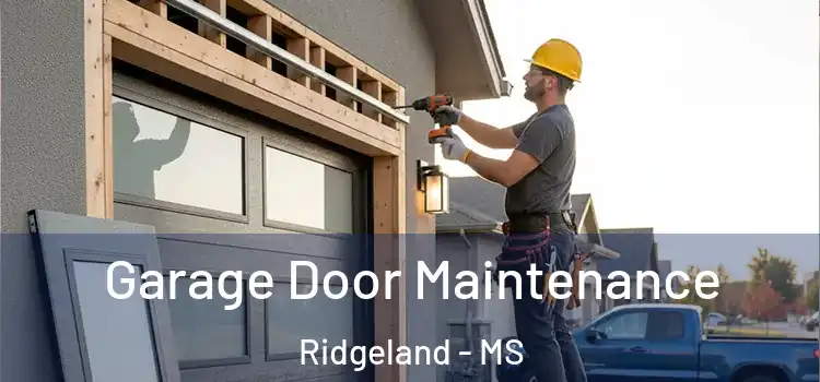Garage Door Maintenance Ridgeland - MS