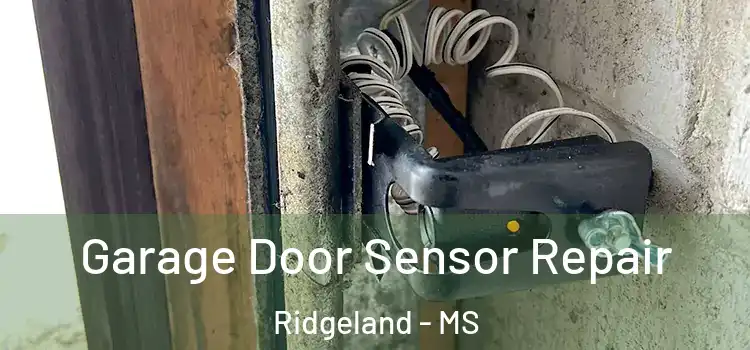 Garage Door Sensor Repair Ridgeland - MS
