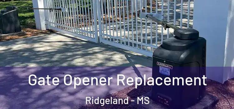 Gate Opener Replacement Ridgeland - MS