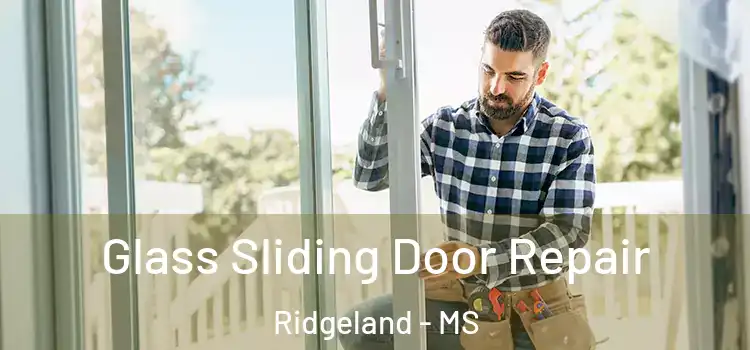 Glass Sliding Door Repair Ridgeland - MS