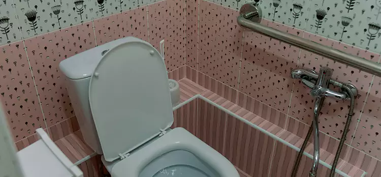 Meeting Diverse Needs With Accessible Restroom Solutions in Ridgeland, MS
