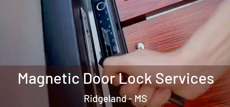 Magnetic Door Lock Services Ridgeland - MS