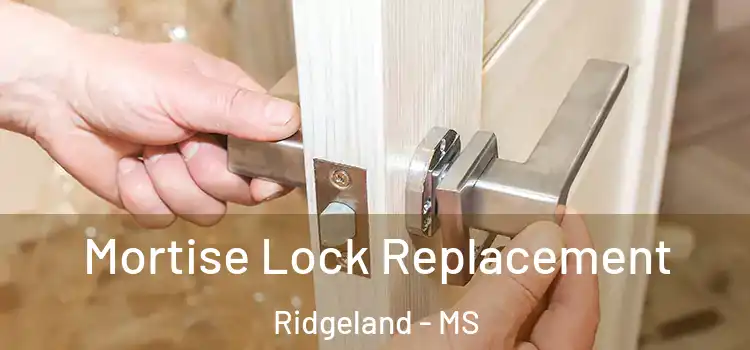 Mortise Lock Replacement Ridgeland - MS