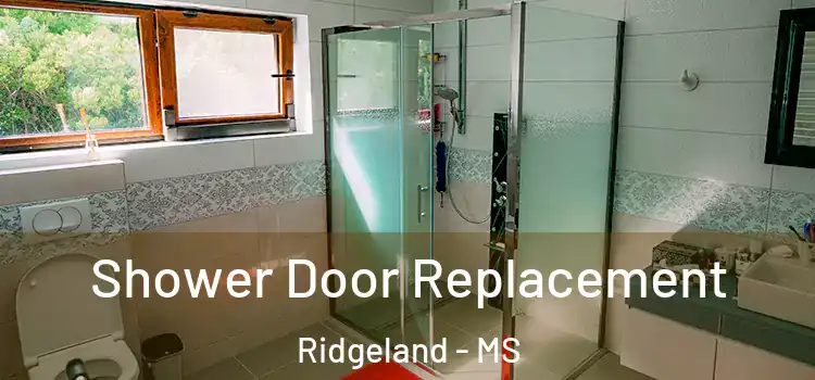 Shower Door Replacement Ridgeland - MS