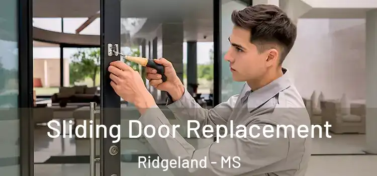 Sliding Door Replacement Ridgeland - MS