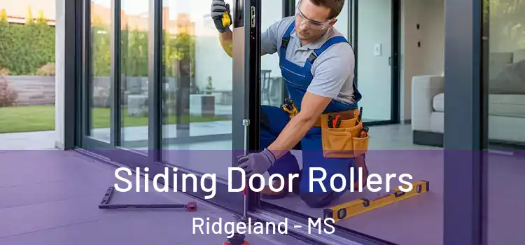 Sliding Door Rollers Ridgeland - MS